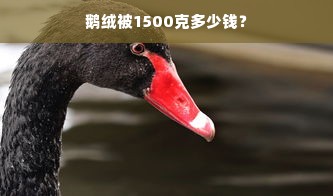 鹅绒被1500克多少钱？