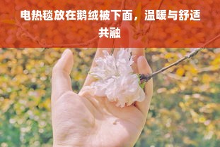 电热毯放在鹅绒被下面，温暖与舒适共融