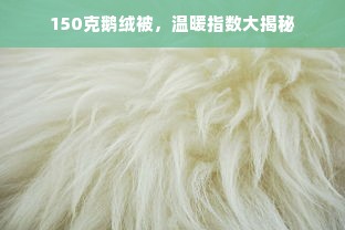 150克鹅绒被，温暖指数大揭秘