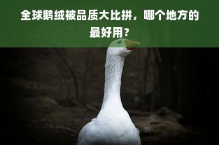 全球鹅绒被品质大比拼，哪个地方的最好用？