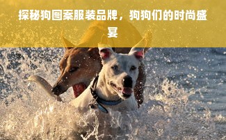 探秘狗图案服装品牌，狗狗们的时尚盛宴