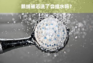 鹅绒被芯洗了会缩水吗？