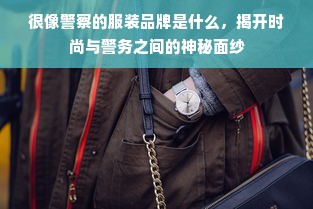 很像警察的服装品牌是什么，揭开时尚与警务之间的神秘面纱