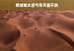 鹅绒被太透气冬天盖不热