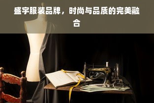 盛宇服装品牌，时尚与品质的完美融合