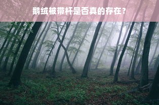 鹅绒被带杆是否真的存在？