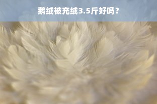 鹅绒被充绒3.5斤好吗？