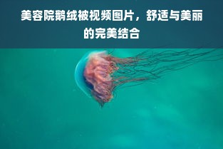 美容院鹅绒被视频图片，舒适与美丽的完美结合