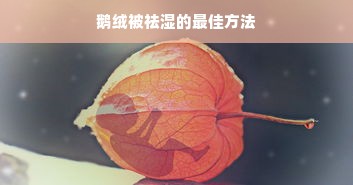 鹅绒被祛湿的最佳方法