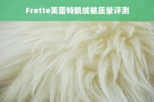 Frette芙蕾特鹅绒被质量评测