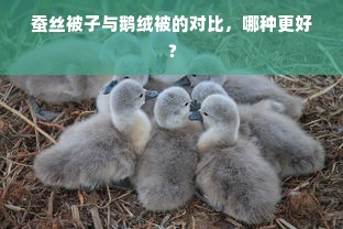 蚕丝被子与鹅绒被的对比，哪种更好？