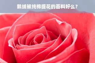 鹅绒被纯棉提花的面料好么？