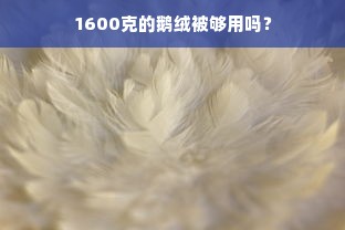 1600克的鹅绒被够用吗？