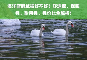 海洋蓝鹅绒被好不好？舒适度、保暖性、耐用性、性价比全解析！