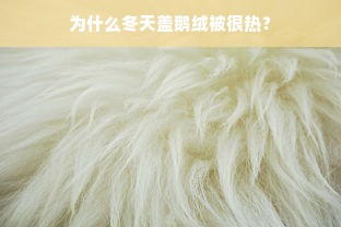 为什么冬天盖鹅绒被很热？