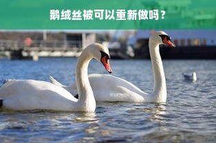 鹅绒丝被可以重新做吗？