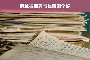 鹅绒被保养与收藏哪个好