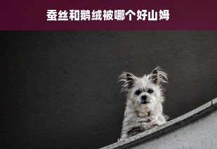 蚕丝和鹅绒被哪个好山姆