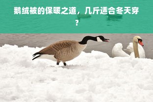 鹅绒被的保暖之道，几斤适合冬天穿？