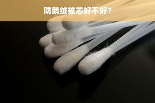 防鹅绒被芯好不好？