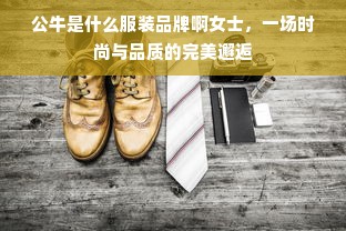 公牛是什么服装品牌啊女士，一场时尚与品质的完美邂逅