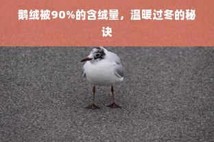 鹅绒被90%的含绒量，温暖过冬的秘诀