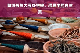 鹅绒被与大豆纤维被，寝具中的白与黄