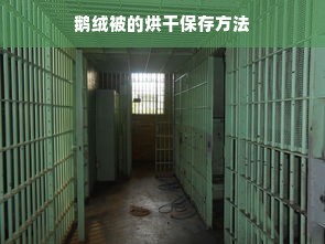 鹅绒被的烘干保存方法