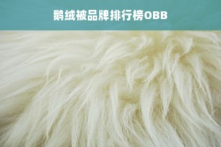 鹅绒被品牌排行榜OBB