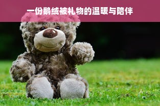 一份鹅绒被礼物的温暖与陪伴