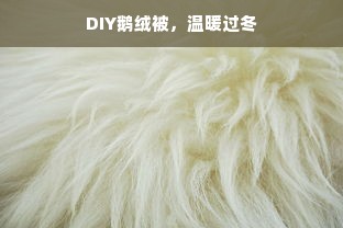 DIY鹅绒被，温暖过冬