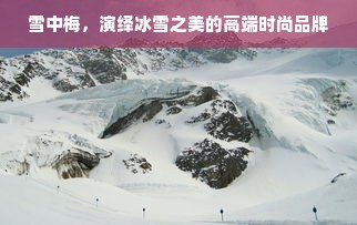 雪中梅，演绎冰雪之美的高端时尚品牌