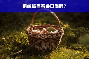 鹅绒被盖着会口渴吗？