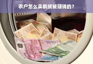 农户怎么卖鹅绒被赚钱的？