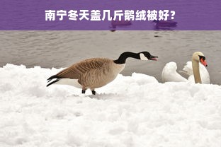 南宁冬天盖几斤鹅绒被好？