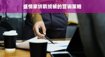 盛情家纺鹅绒被的营销策略