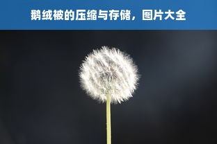 鹅绒被的压缩与存储，图片大全