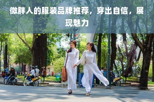 微胖人的服装品牌推荐，穿出自信，展现魅力