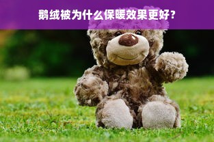 鹅绒被为什么保暖效果更好？