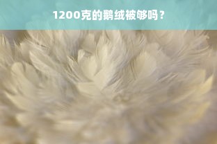 1200克的鹅绒被够吗？