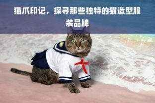 猫爪印记，探寻那些独特的猫造型服装品牌