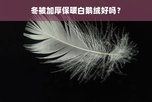 冬被加厚保暖白鹅绒好吗？