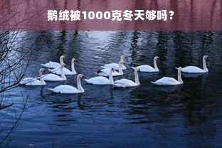 鹅绒被1000克冬天够吗？