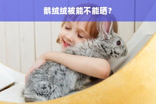 鹅绒绒被能不能晒？