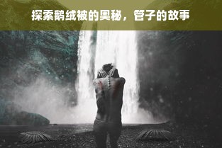 探索鹅绒被的奥秘，管子的故事