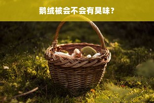 鹅绒被会不会有臭味？