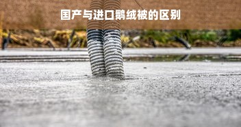 国产与进口鹅绒被的区别