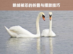 鹅绒被芯的折叠与摆放技巧