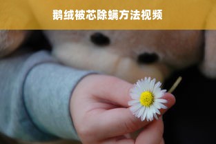 鹅绒被芯除螨方法视频