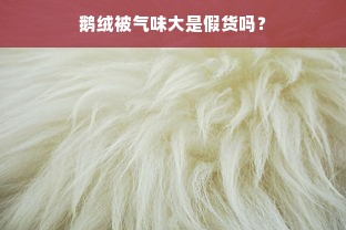 鹅绒被气味大是假货吗？